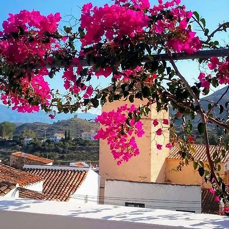 Casa Caballito De Mar Boutique B&B Bedar Ngoại thất bức ảnh