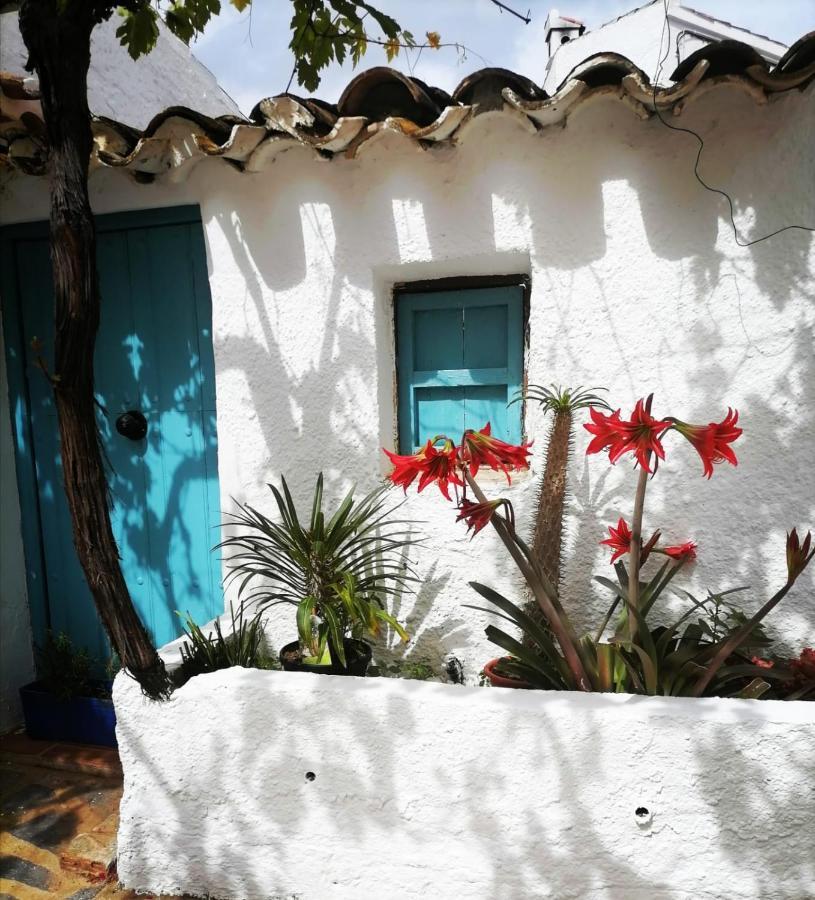 Casa Caballito De Mar Boutique B&B Bedar Ngoại thất bức ảnh