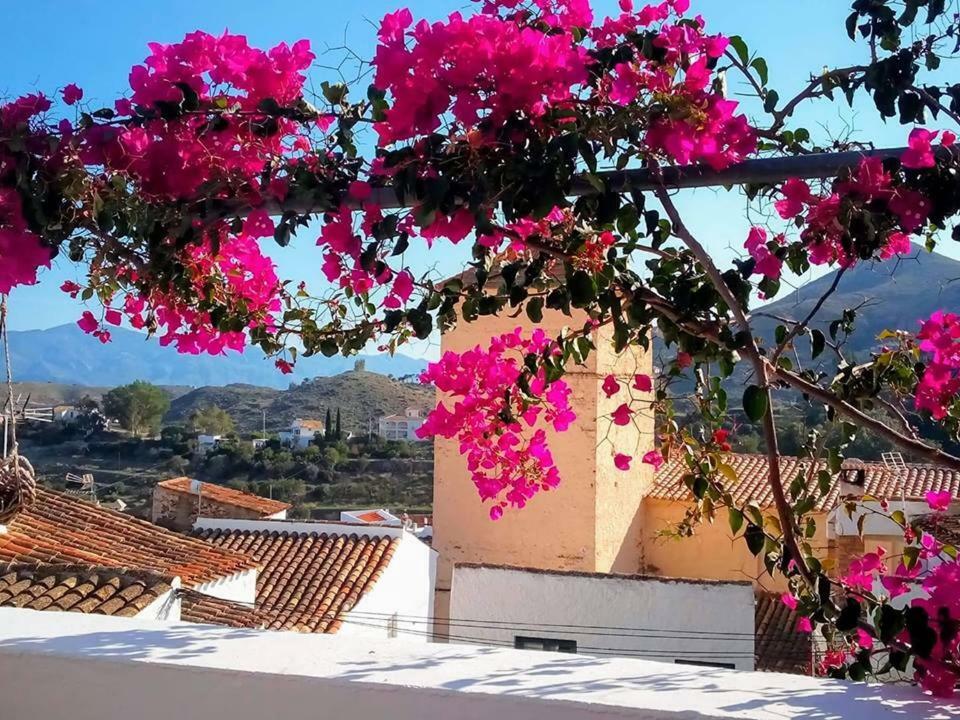 Casa Caballito De Mar Boutique B&B Bedar Ngoại thất bức ảnh